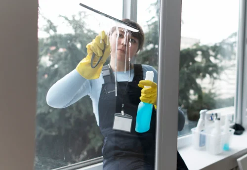 Nettoyage de vitres intérieures et extérieures à Frémainville